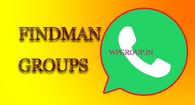 Findman Whatsapp Group