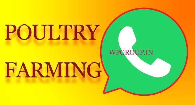 Poultry Farming Whatsapp Group Link